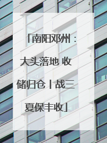 南阳邓州：大头落地 收储归仓丨战三夏保丰收