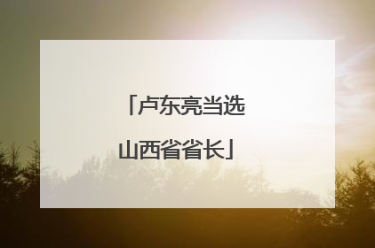 卢东亮当选山西省省长