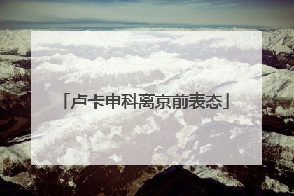 卢卡申科离京前表态
