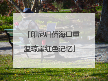 印尼归侨海口重温琼崖红色记忆