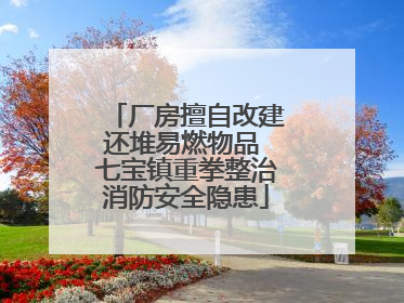 厂房擅自改建还堆易燃物品 七宝镇重拳整治消防安全隐患