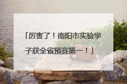 厉害了！南阳市实验学子获全省预赛第一！