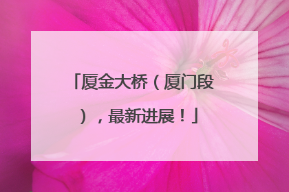 厦金大桥（厦门段），最新进展！