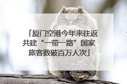厦门空港今年来往返共建“一带一路”国家旅客数破百万人次