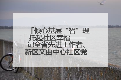 倾心基层“智”理 托起社区幸福——记全省先进工作者、新区文曲中心社区党委书记董世弘
