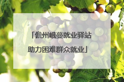 儋州峨蔓就业驿站助力困难群众就业