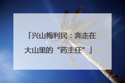 兴山梅利民：奔走在大山里的“药主任”
