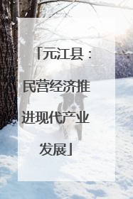 元江县：民营经济推进现代产业发展