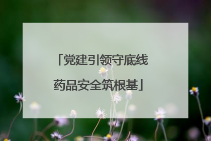 党建引领守底线 药品安全筑根基