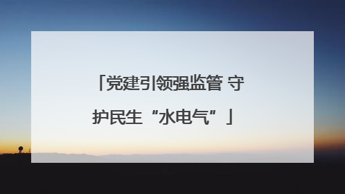 党建引领强监管 守护民生“水电气”