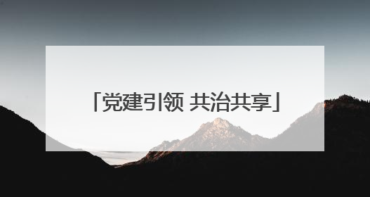 党建引领 共治共享