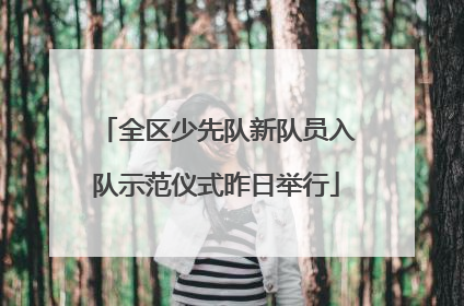 全区少先队新队员入队示范仪式昨日举行