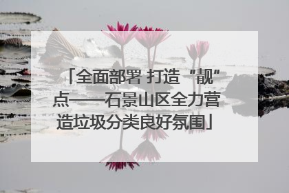 全面部署 打造“靓” 点——石景山区全力营造垃圾分类良好氛围