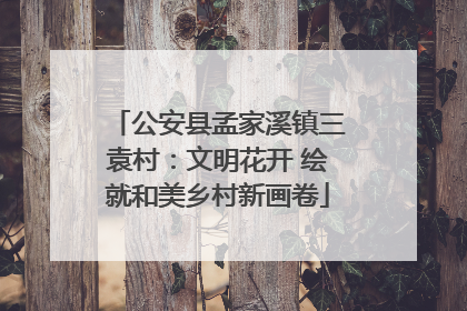 公安县孟家溪镇三袁村：文明花开 绘就和美乡村新画卷