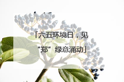 六五环境日，见“郑”绿意涌动