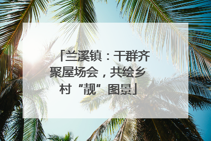 兰溪镇：干群齐聚屋场会，共绘乡村“靓”图景