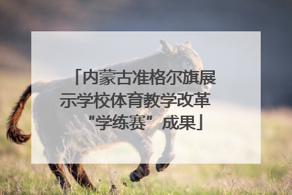 内蒙古准格尔旗展示学校体育教学改革“学练赛”成果
