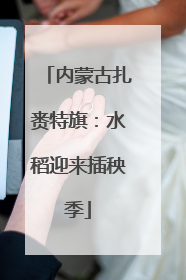 内蒙古扎赉特旗：水稻迎来插秧季
