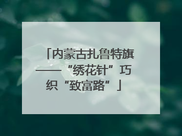 内蒙古扎鲁特旗——“绣花针”巧织“致富路”