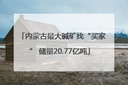 内蒙古最大碱矿找“买家” 储量20.77亿吨