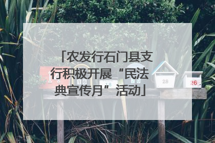 农发行石门县支行积极开展“民法典宣传月”活动