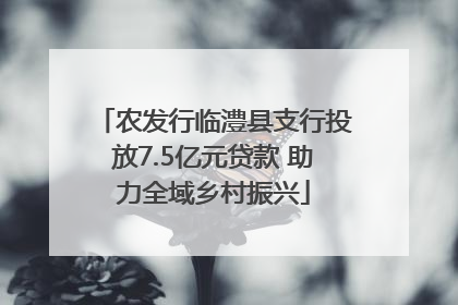 农发行临澧县支行投放7.5亿元贷款 助力全域乡村振兴