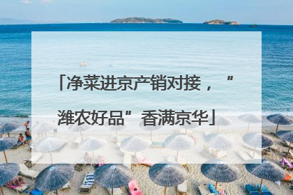 净菜进京产销对接，“潍农好品”香满京华