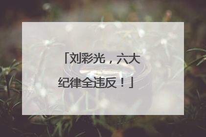 刘彩光，六大纪律全违反！