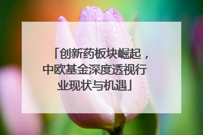 创新药板块崛起，中欧基金深度透视行业现状与机遇