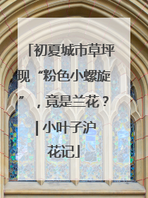 初夏城市草坪现“粉色小螺旋”，竟是兰花？ | 小叶子沪花记