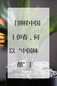 别样中国丨伊春，何以“中国林都”