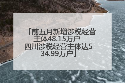 前五月新增涉税经营主体48.15万户 四川涉税经营主体达534.99万户
