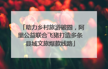 助力乡村旅游破圈，阿里公益联合飞猪打造多条县域文旅爆款线路