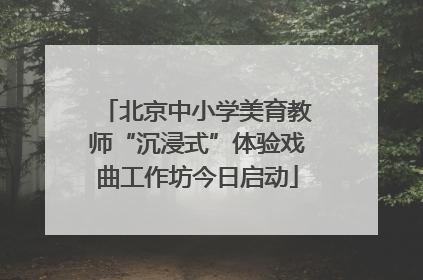 北京中小学美育教师“沉浸式”体验戏曲工作坊今日启动