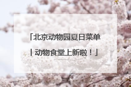 北京动物园夏日菜单丨动物食堂上新啦！
