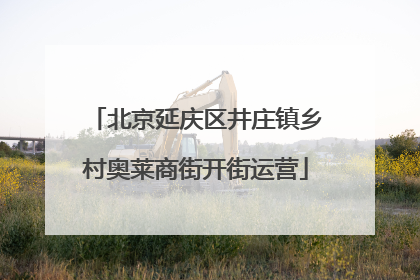 北京延庆区井庄镇乡村奥莱商街开街运营