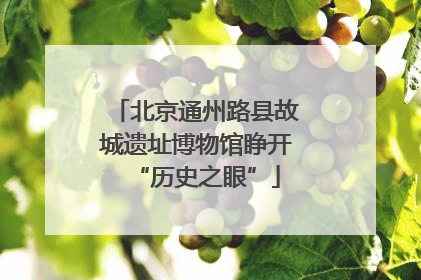北京通州路县故城遗址博物馆睁开“历史之眼”