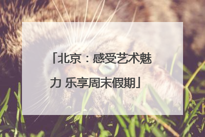 北京：感受艺术魅力 乐享周末假期