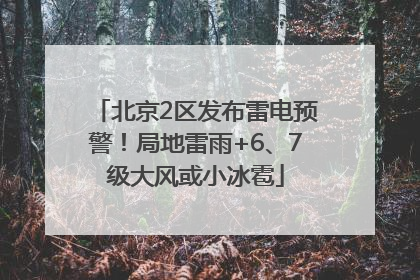 北京2区发布雷电预警！局地雷雨+6、7级大风或小冰雹