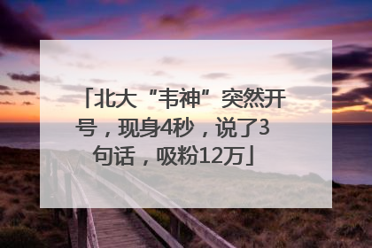 北大“韦神”突然开号，现身4秒，说了3句话，吸粉12万