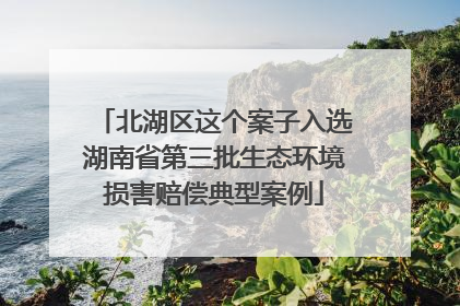 北湖区这个案子入选湖南省第三批生态环境损害赔偿典型案例