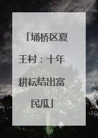 埇桥区夏王村：十年耕耘结出富民瓜