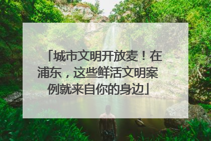 城市文明开放麦！在浦东，这些鲜活文明案例就来自你的身边