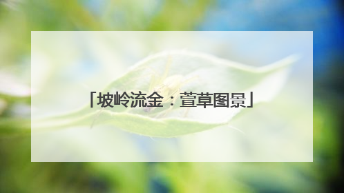 坡岭流金：萱草图景