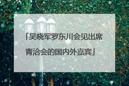 吴晓军罗东川会见出席青洽会的国内外嘉宾