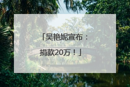 吴艳妮宣布：捐款20万！