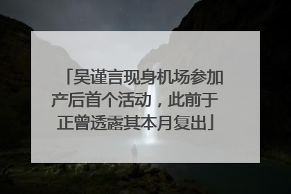吴谨言现身机场参加产后首个活动，此前于正曾透露其本月复出