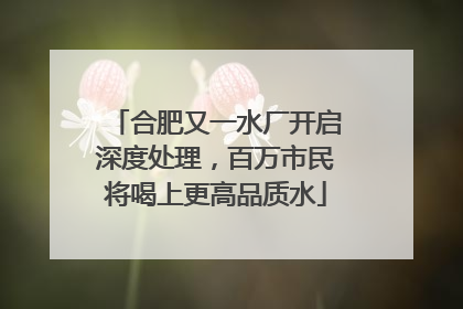 合肥又一水厂开启深度处理，百万市民将喝上更高品质水