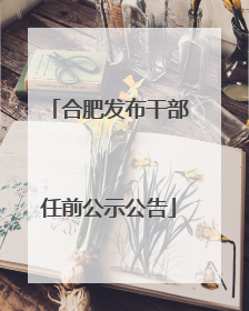 合肥发布干部任前公示公告