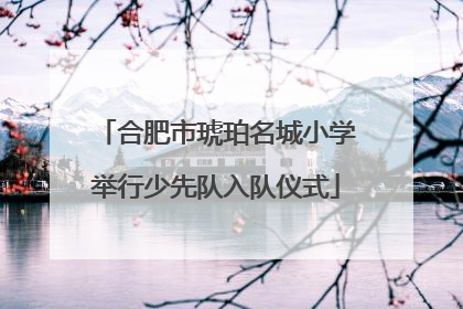 合肥市琥珀名城小学举行少先队入队仪式